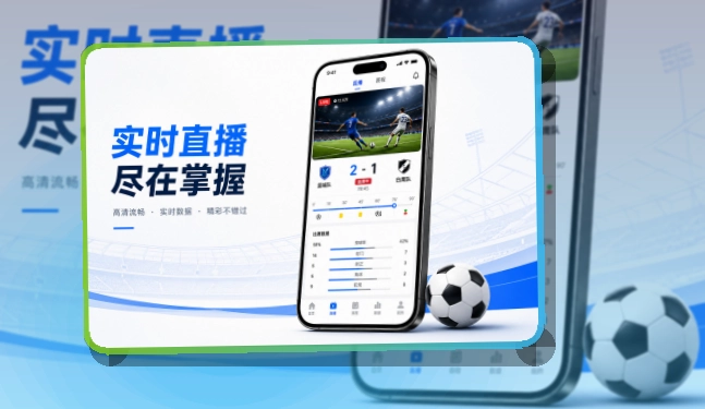 B体育APP访问示意图